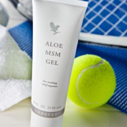 Aloe MSM Gel