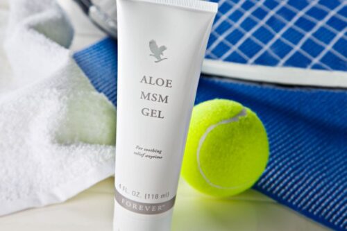 Aloe MSM Gel