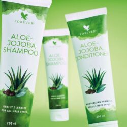 Aloe-Jojoba Shampoo