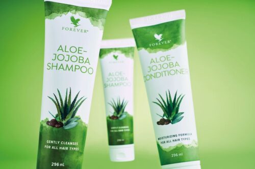 Aloe-Jojoba Shampoo