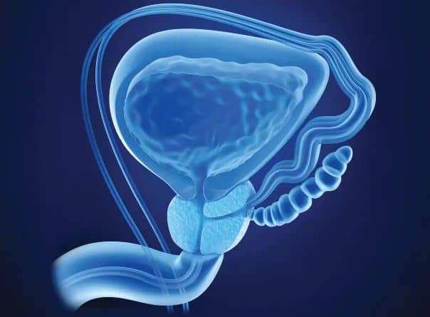 You are currently viewing Santé Prostate : Prévention-Traitement